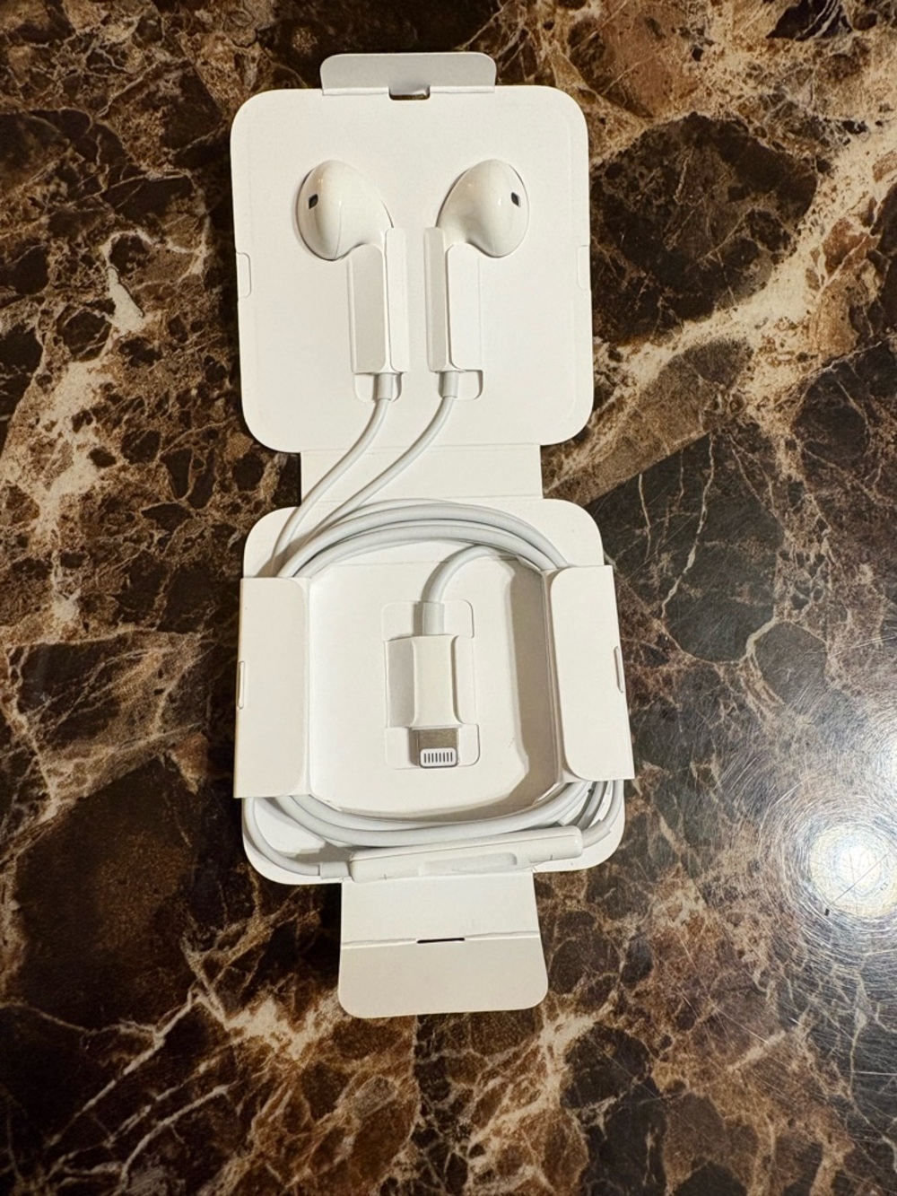 Apple Brand Wired Headphones with Lightning Adapter - New Never Used/Opened - Picture 2 of 4
